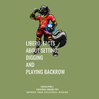 Volleyball Libero Facts About Setting Digging and Playing Backrow