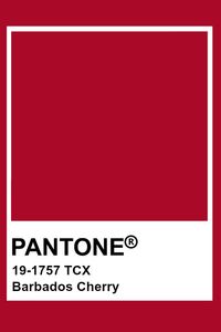 Pantone Barbados Cherry