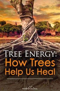 I want to discuss a topic I hear all too often about in the Pagan/Metaphysical community. HOW to keep the Magick alive in our daily lives. Today’s modern world