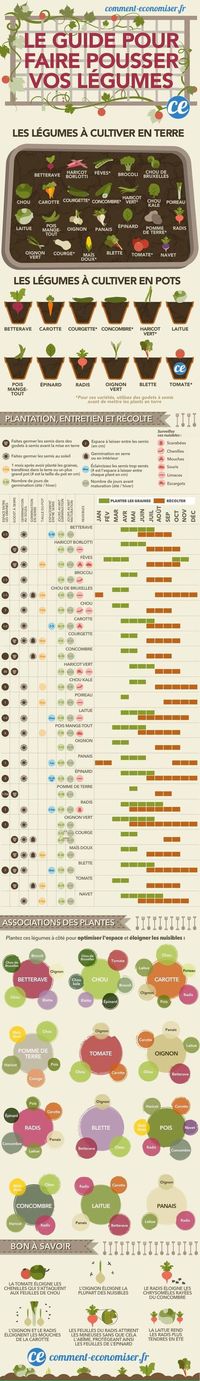 Comment Faire Pousser Ses Légumes ? Tous Les Secrets En 1 Seul Guide Pratique.