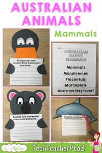 Explore Australian native mammals marsupials, monotremes and placentals with these fun activities, flip book, worksheets and colouring pages (coloring). Lots of fun engaging science activities for early years primary students. #teacherspayteachers #crafts #science #australian #animals