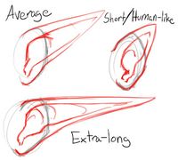 How to Draw Pointed "Elf" Ears - Draw Central