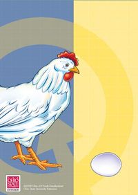 Chicken Quest website. 4H based site to go through the life cycle of chickens. Geared toward 3rd grade, but for a kid new to it all, good overview.