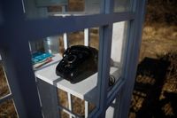 In a garden on a hill, under the wide boughs of a cherry tree, a white phone booth glistens in the early spring light.