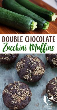 DOUBLE CHOCOLATE ZUCCHINI MUFFINS! Super moist with shredded zucchini or summer squash and extra chocolatey! LOVE the Buckwheat Streusel Topping on these! #recipe #zucchini #summersquash #chocolate #muffins #reformationacres