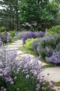 Purples and lime - lovely