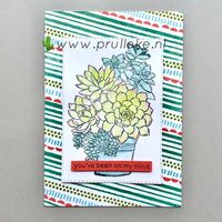 Het is misschien niet de meest voor de hand liggend stempelcombinatie maar ik vind deze twee heel mooi met elkaar. Pattern Play voor de achtergrond en Simpy Succulents als focal image. Beiden gebruiken de kleurencombinatie voor apri 2021 en zo heb ik een kleurrijk geheel. #prulleke #prullkelkleurencombinatie #patternplaystampset #simplysucculentsstampset #stampinupnederland #stampinupdemo #echtepostiszoveelleuker #stampinupdemonstratrice