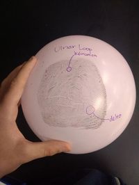 Study fingerprints by using balloons!