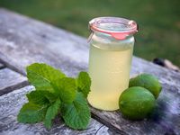 mátový sirup1