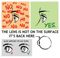 Where the pupil goes in the profile✤ || CHARACTER DESIGN REFERENCES | Find more at https://www.facebook.com/CharacterDesignReferences if you're looking for: #line #art #character #design #model #sheet #illustration #expressions #best #concept #animation #drawing #archive #library #reference #anatomy #traditional #draw #development #artist #pose #settei #gestures #how #to #tutorial #conceptart #modelsheet #cartoon #eye
