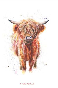 Lovely Hamish Highland Cow giclee print by artist Helen April Rose. Made with care for you to buy.