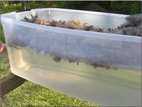 Ten Good Sheep Wool Fleece Washing Tutorial