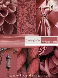 Dusty Cedar / Пыльный Кедр модный оттенок Pantone сезона осень-зима 2016