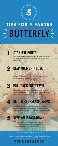 The Butterfly Stroke: Everything You Ever Wanted to Know