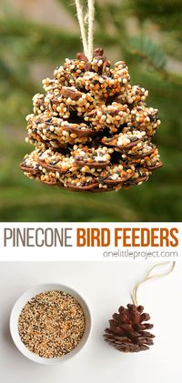 These pinecone bird feeders are SO PRETTY and they're so easy to make! With just a few simple supplies you can make one in less than 10 minutes! It's a great craft for kids, tweens, teens, adults, seniors and even in the classroom! It's so much fun to watch the birds it brings to the backyard!