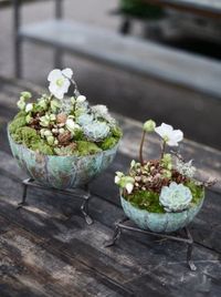 Tiny Planters: Do It Yourself! - DIY Recyclist