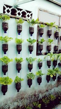 Incroyable idées d'édition de jardin - faites-le vous-même (3) - #d39édition #de #faitesle #Idées #Incroyable #Jardin #vousmême - Eur8 PhotoBlog