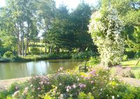 Roses overlooking the pond in Vivien Leigh's garden.