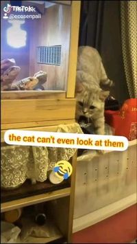 The best camouflage🙀😂😂 • Follow @ecosenpaii for more👍🙌😍 • #ecosenpaii #saveearth #savetheocean #savetheturtles #animalsplay #kittylover #lizards #savetheplanet #saveourseas #plasticfree #plasticfreejanuary #plasticsollution #plasticsucks #plasticfreeforthesea #plasticfreeliving #fridaysforfuture #climatestrike #plasticfreeoceans #lifewithoutplastic #climatememes #funnymemes😂 #climatechange #animalmemes