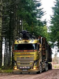 VOLVO. FH16-700, Semi-Trailer, Log-Truck.