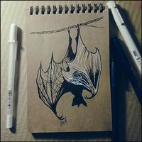 Flying fox.#bat #animal #nature #art #draw #sketch #sketchbook #graphic #instaart #instaartist
