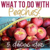 What to do with PEACHES…5 delicious ideas! #howdoesshe #peaches #peachrecipes #delicious #peachseason howdoesshe.com