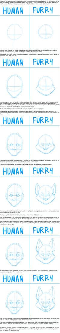 How to turn a human into a furry anime drawing tutorial.