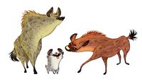 HYENAS SKETCHES on Behance