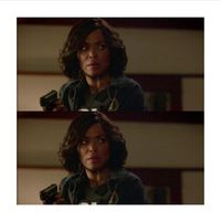 Criminal Minds Tara Season 12