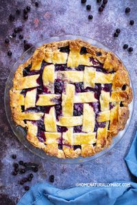 Homemade Scratch Blueberry Pie Recipe