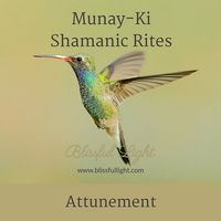 The Munay-Ki Shamanic Rites online home study attunement course teaches a thorough selection of energetic self-development and spiritual tools to help you step out of the past and to build the present and future in a more constructive and empowering way.