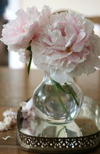 Pivoines