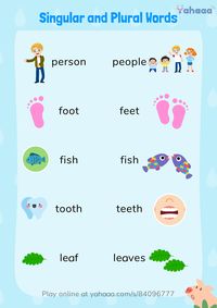 Do you know the Plural forms of these words?