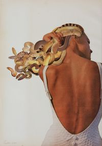 Javier Pinon, Medusa