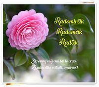 Radomirčik, Radomčik, Radčik - prianie k meninám
