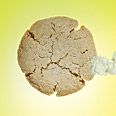 Triple-Ginger Cookies