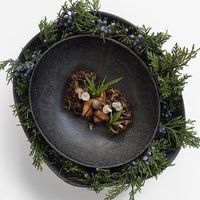 Maitake, ginger and mint. Cold-weather comfort by Chef @shergatt! #theartofplating #gastroart #food #foodie #foodart #foodpic #edibleart #foodphoto #foodphotography #foodphotographer #instafood #gastrogram #gourmet #gastronomy #nyc #nyceats #nycdining #nycfoodphotographer #signebirckphotography #coldweatherfood Maitake, ginger and mint. Cold-weather comfort by Chef @shergatt! #theartofplating #gastroart #food #foodie #foodart #foodpic #edibleart #foodphoto #foodphotography #foodphotographer #ins