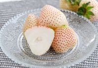 プレゼントにもおすすめ!佐賀県産のプレミアムな白いちご『天使のいちご』 | おうちごはん