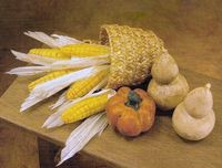 how to: dried Indian corn and pumpkins (In Spanish, with good step-by-step photos)