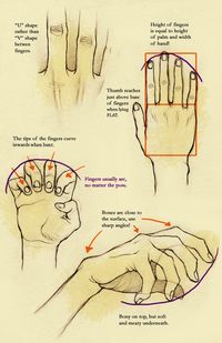 Hands, click on this and it will take you to so many useful hand pictures!