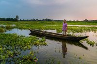 The Disappearing Island: Majuli Island In Assam - Lost With Purpose