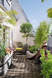 Erstellen Sie einen Mini-Dschungel, um den Balkon zu isolieren - #Balkon #den #einen #Erstellen #isolieren #MiniDschungel #Sie #um #zu