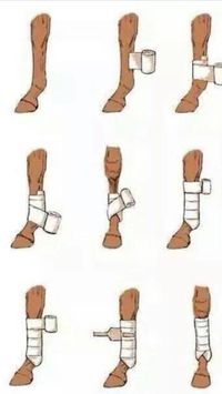 And yet there still people who don't know how to put polo wrapes on properly...