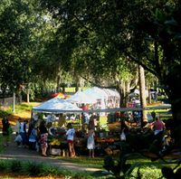 Maitland Farmers' Market