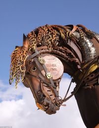 The sculptor says he draws inspiration and reference from the environment around him, the animals and even past events in his life.