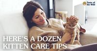 As pet owners, we want to make sure we are prepared to give our pets the best place to grow up and also know what it takes to keep them healthy. If you’re adding a new feline family member, we have some important kitten care tips to help you make it a successful start. #KittenCareTips #NewKittens