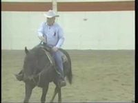 Teaching a Horse to Neck Rein. This video discusses how to teach a young horse to neck rein and pivot.