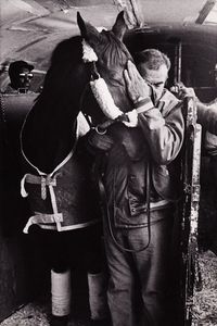 One of the last know photos of famed Thoroughbred, John Henry and his life long groom, Jose Mercado saying goodbye before parting ways as John Henry was on his way to his retirement home. Credit to Kentucky Photo’s by Stewart Brown