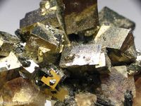 Fluorite with Pyrite and Hubnerite, Tetrahedrite, Kara-Oba W deposit, Betpakdala Desert, Karagandy, Kazakhstan. Size 4.5 x 4.5 x 3.5 cm. An interesting combination specimen of brassy, shiny perfect Pyrite cubes to 1cm with yellow Fluorite cubes to 1.4cm