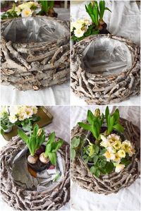 DIY Frühlingsdeko selber machen Frühjahrsdeko für Tisch. Dekoidee mit Korb Christrosen Hyazinthen Primeln Moos und natürlicher Deko